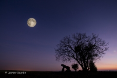 Pleine lune à Fontenaille