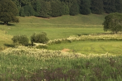 Buron au pied du Puy Montcey