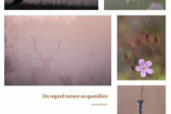 Publication Automne 2016-web-16 Laurent Bourdin