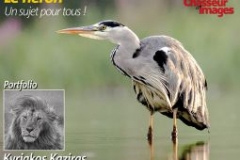 Couv Natimages Laurent Bourdin