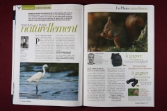Publication : Gagnant concours, Laurent Laurent Bourdin - photographe animalier et de nature